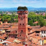 Lucca-Torre Guinigi